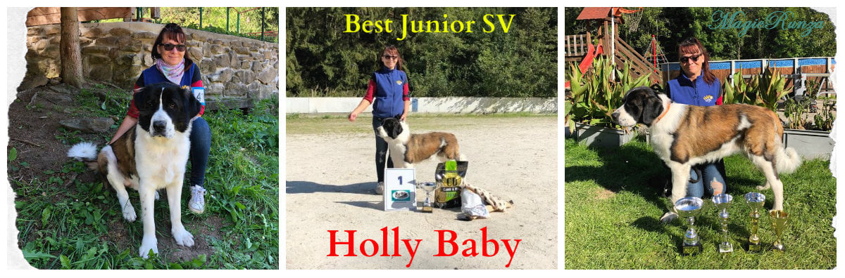 Holly Baby Best junior Special Dog show