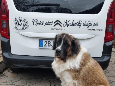 Nové polepy na auto