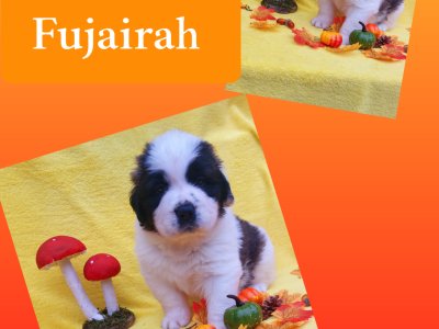 Volná poslední krásná holčička:-)))